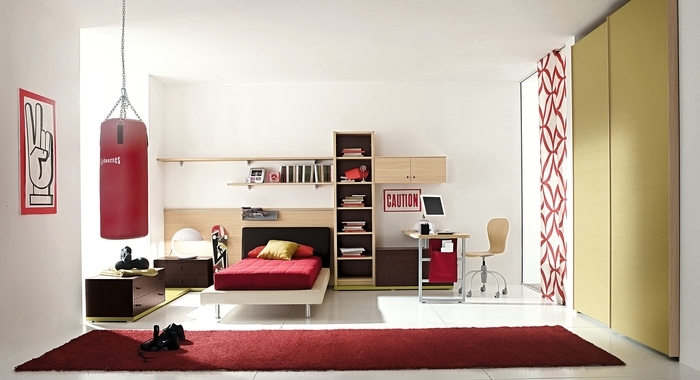 Cool Teenage Boy Bedrooms Ideas