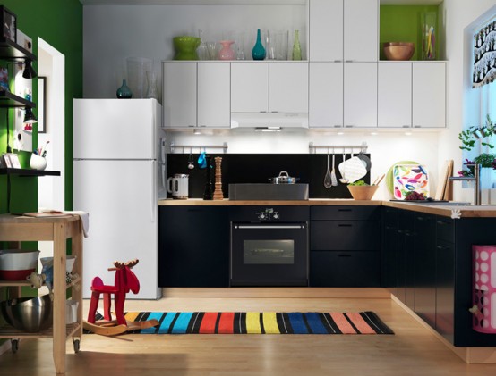 ikea-2010-kitchen-design-ideas-5-554x421.jpg