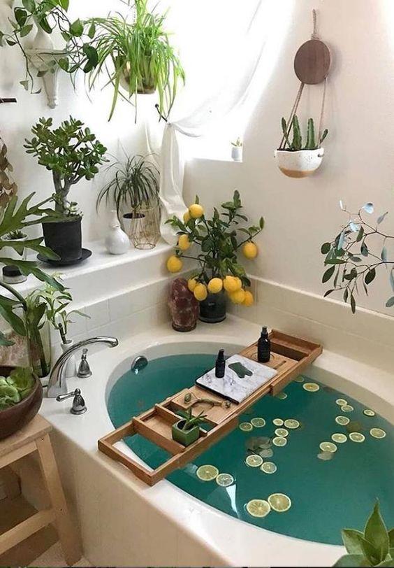 https://www.digsdigs.com/photos/2013/02/a-bathtub-surrounded-by-greenery-and-succulents-in-various-planters-and-with-some-cacti-and-a-lemon-tree.jpg