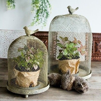 https://www.digsdigs.com/photos/2014/01/using-bird-cages-for-decor-46-beautiful-ideas-14.jpg