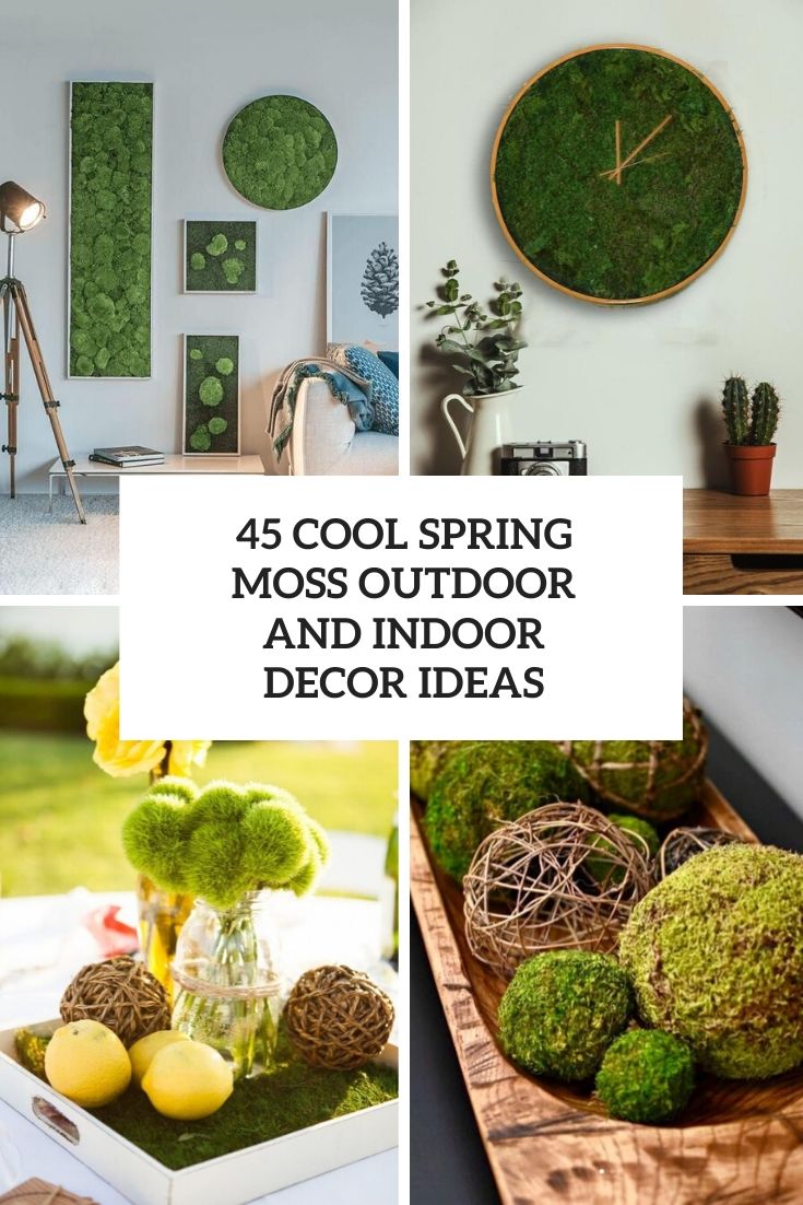 45 Cool Spring Moss Outdoor And Indoor Décor Ideas - DigsDigs