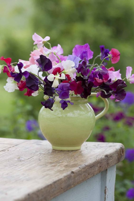 إناء حليب أخضر مع أزهار زاهية هو قطعة مركزية لطيفة على الطراز الريفي أو زخرفة لمساحتك الصيفية