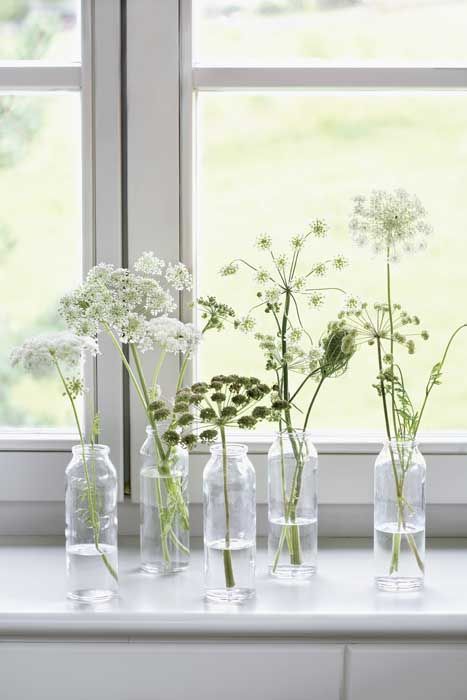 سوف تصطف الزجاجات ذات الأزهار البيضاء بشكل جميل مع حافة النافذة أو بعض المساحات الأخرى