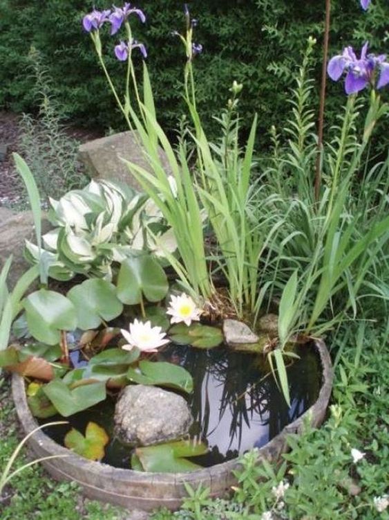 56 Awesome Mini Ponds To Complete Your Outdoor Décor - DigsDigs