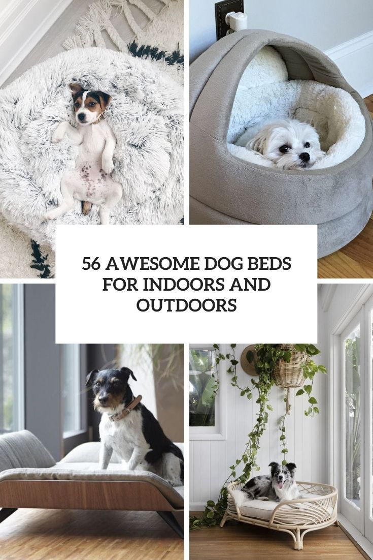 Must Have Pet Products for Dogs - The Vintage Modern Wife