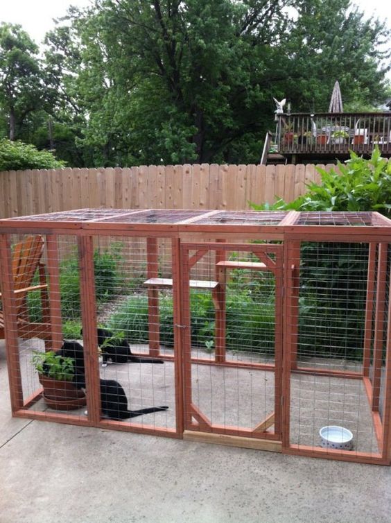 41 Safe And Smartly Organized Cat Enclosures - DigsDigs