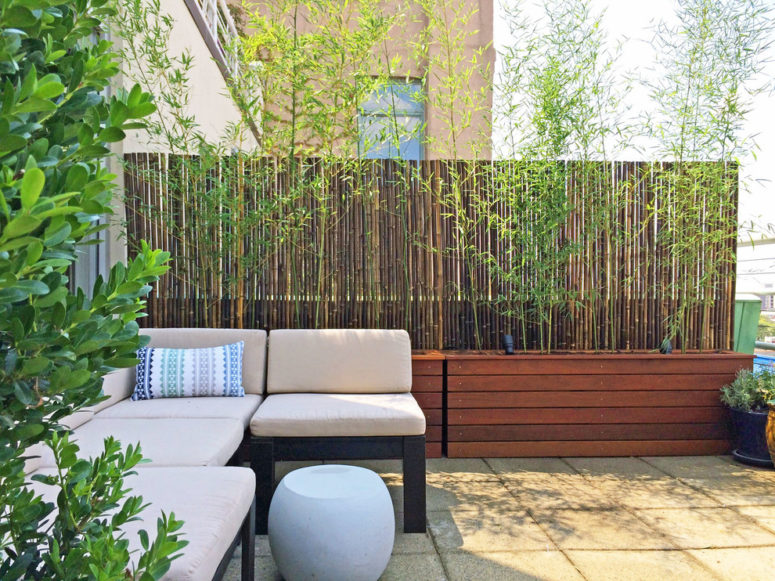 45 Privacy Fence Design Ideas To Get Inspired - DigsDigs