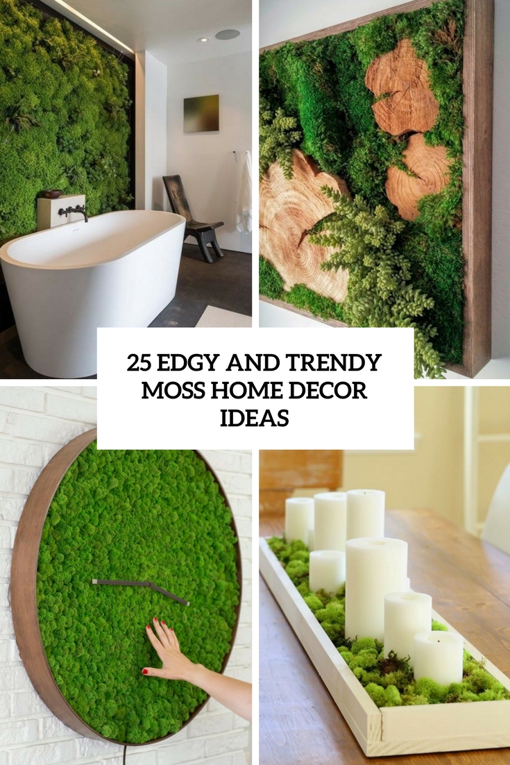 25 Edgy And Trendy Moss Home Decor Ideas - DigsDigs