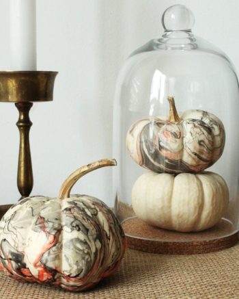 Picture Of a cloche with a white and marbleized pumpkin is a fast and ...