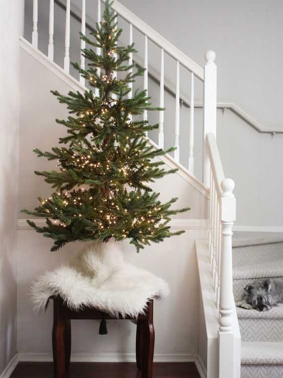 94 Beautiful Small Christmas Trees - DigsDigs