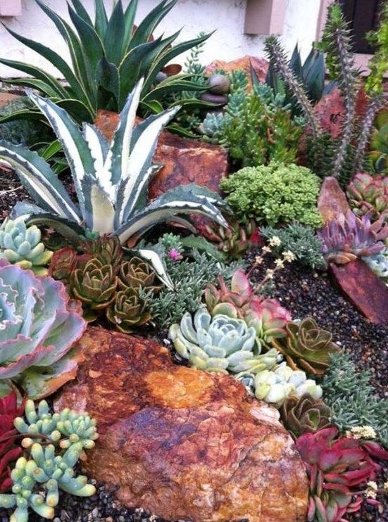 59 Catchy Outdoor Succulent Garden Ideas - DigsDigs