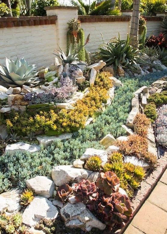 59 Catchy Outdoor Succulent Garden Ideas - DigsDigs