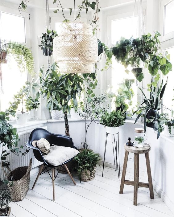 25 Biophilic Home Decor Ideas That Inspire - DigsDigs