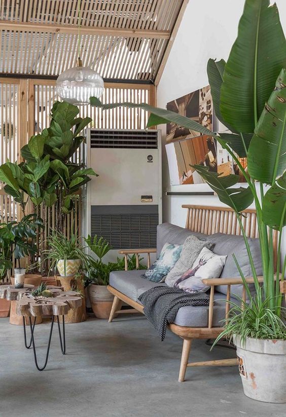 25 Biophilic Home Decor Ideas That Inspire - DigsDigs