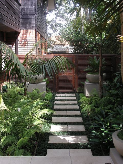 بالصور افكار بسيطة مميزة لتزيين حديقة المنزل حصري 2020 A-small-and-lush-tropical-garden-with-lots-of-greenery-ferns-and-tropical-plants-in-pots-and-on-the-ground