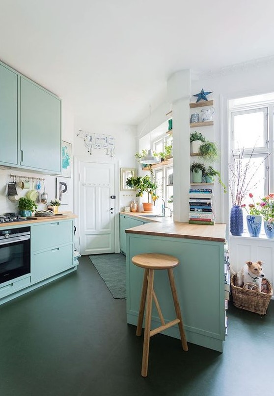 https://www.digsdigs.com/photos/2023/03/a-mint-blue-kitchen-with-flat-panel-cabinets-stained-butcherblock-countertops-and-a-stool-potted-plants-is-a-lovely-space.jpg