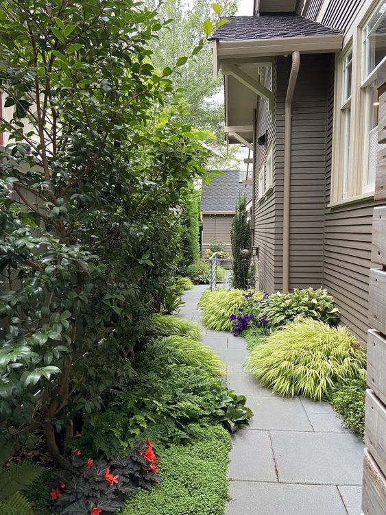 a modern and edgy side yard with a stone path, greenery and grasses and some trees is amazing