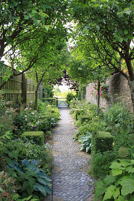 a cozy shadowy side garden with lots of greenery, blooms and greenery covered cubes plus some trees