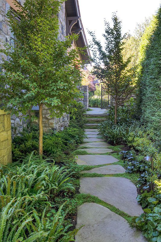 a lush and beautiful side yard with an irregular stone path, greenery and grasses and some trees plus lights along the path