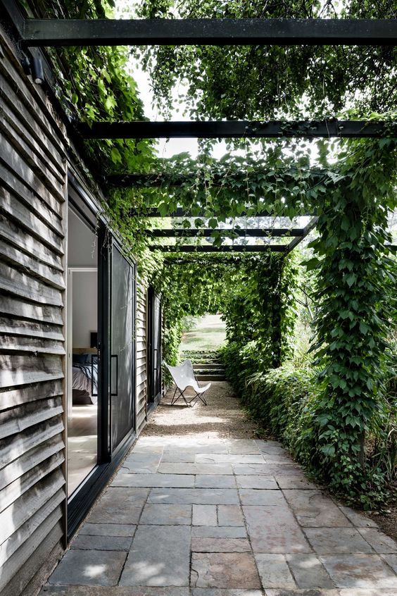 a minimal and modern side yard with a stone path, a butterfly chair and greenery over the space is amazing