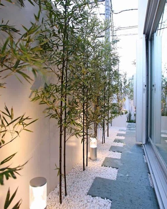 a modern side yard with white pebbles, a stone path, some tall plants and modern lanterns is a lovely space