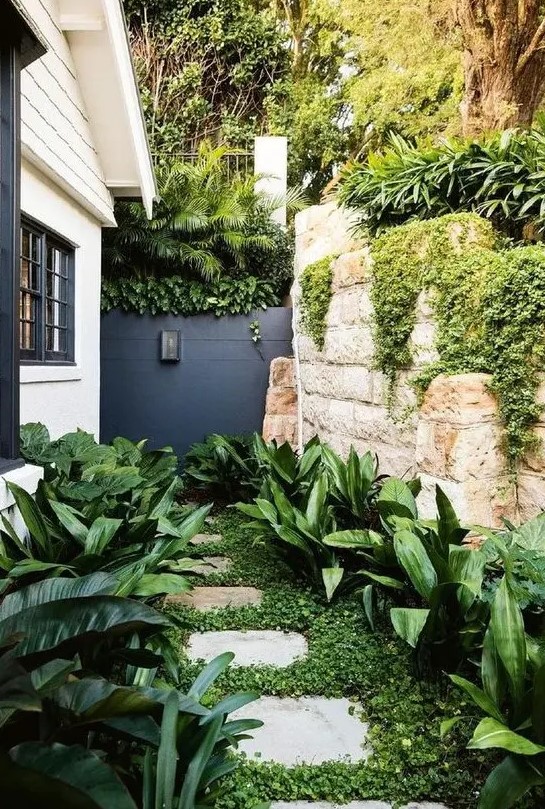 a small modern side yard nook with greenery, some lush tropical shrubs on both sides of the pavement