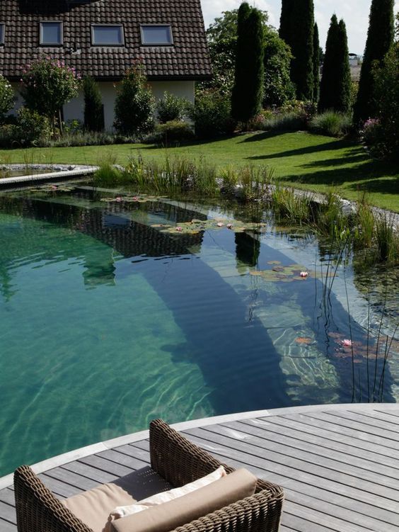 40 Natural Swimming Ponds To Refresh Yourself - DigsDigs