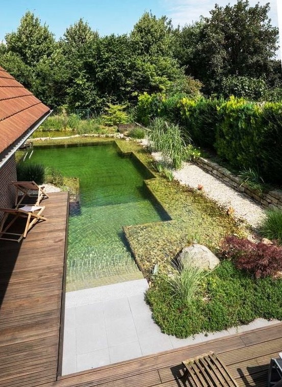 40 Natural Swimming Ponds To Refresh Yourself - DigsDigs