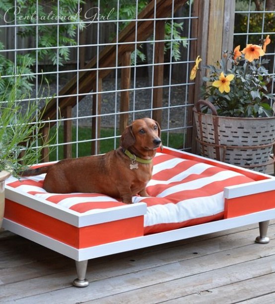 https://www.digsdigs.com/photos/awesome-dog-beds-for-indoors-and-outdoors-26-554x614.jpg