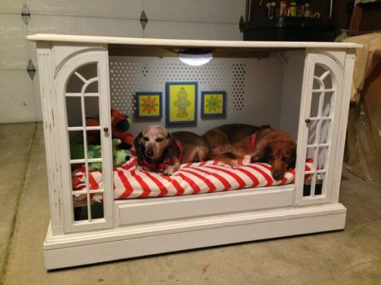 really cool dog beds