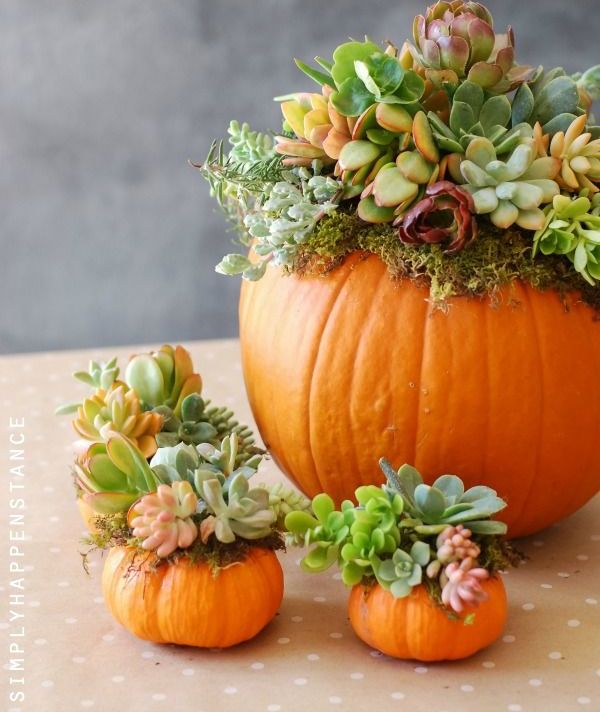 30 Beautiful Thanksgiving Pumpkin Decorations For Your Home | DigsDigs