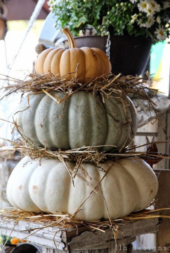 30 Beautiful Thanksgiving Pumpkin Decorations For Your Home - DigsDigs