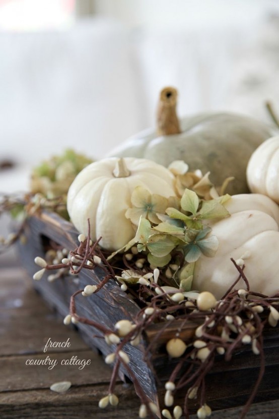 46 Beautiful Thanksgiving Pumpkin Decorations For Your Home - DigsDigs