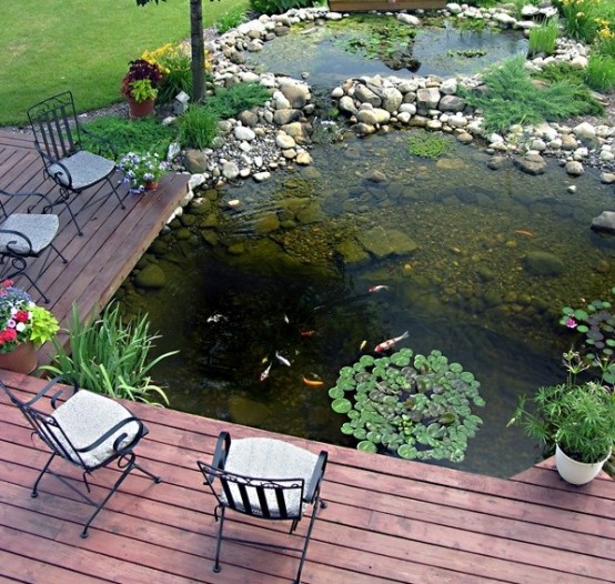 backyard fish ponds