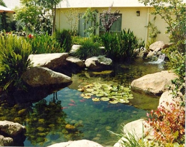 large backyard fishing ponds