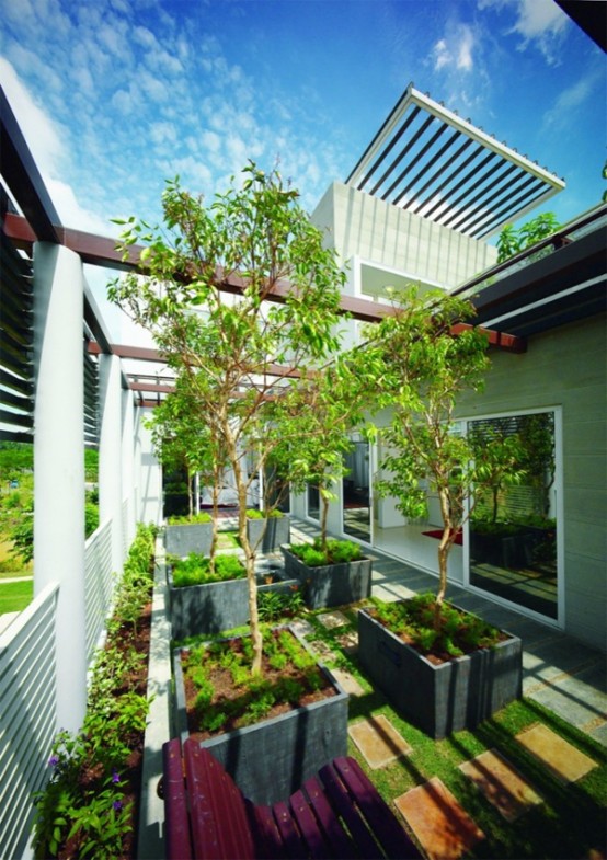 Tropical House Design With Cool Rooftop Garden And Canopy