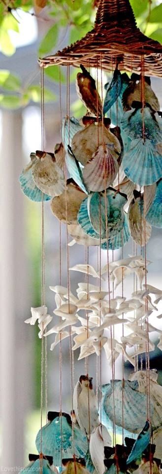 Home Decor, Shells For Decoration