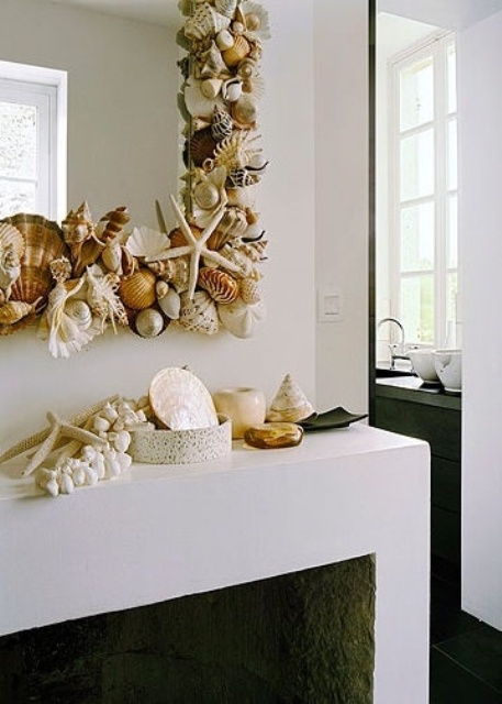 Home Decor with sea shell used to your house furniture and design for home  decoration items
