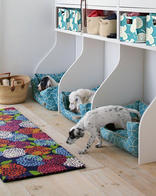 11 Smart Storage Solutions for Your Pet Supplies